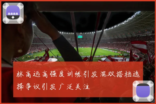 林高远高强度训练引发混双搭档选择争议引发广泛关注